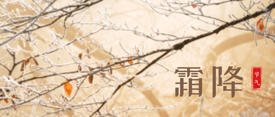 二十四节气霜降黄色实景首图