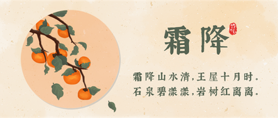 二十四节气霜降黄色手绘插画柿子