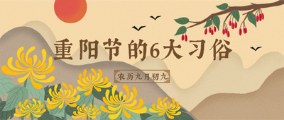 中国传统节日重阳节黄色手绘插画菊花茱萸
