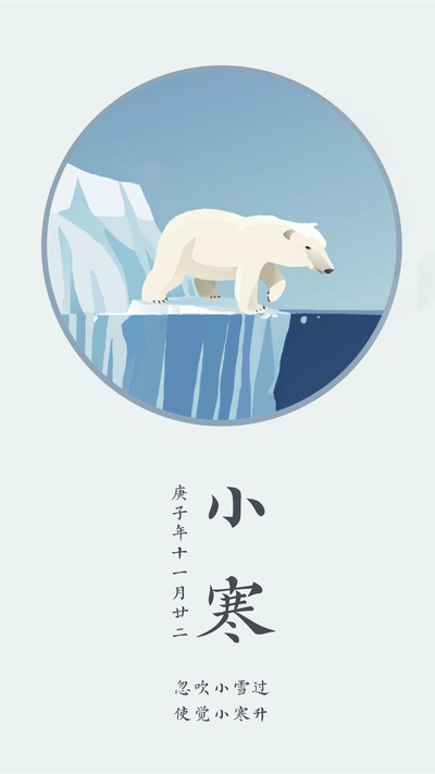 二十四节气小寒,北极熊,手机海报