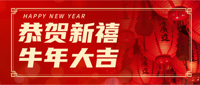 恭贺新禧,新年,灯笼,实景