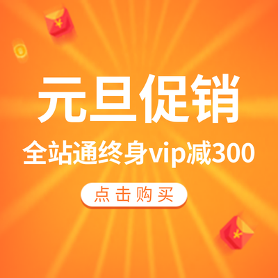 元旦VIP促销活动图3