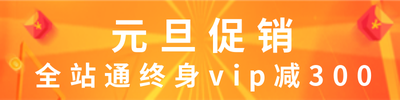 元旦VIP促销活动图4