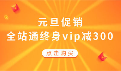 元旦VIP促销活动图2