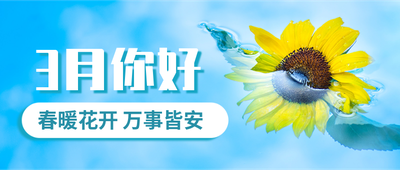 三月你好,清新,向日葵