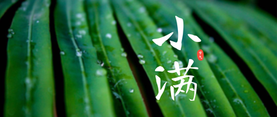小满节气,二十四节气