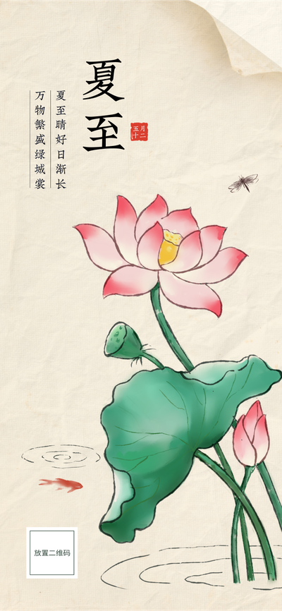 二十四节气, 夏至,荷花,中国风
