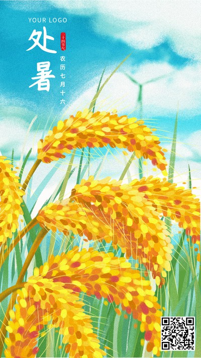 二十四节气,处暑,麦子
