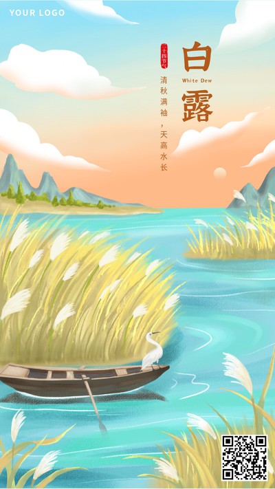 白露,芦苇,手机海报