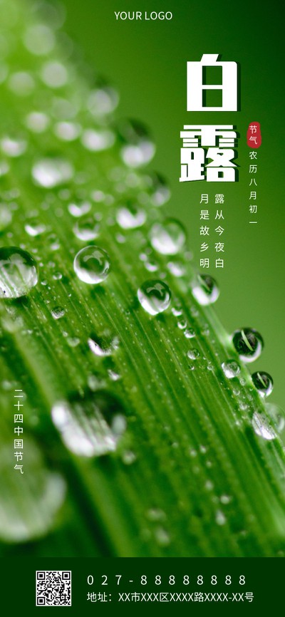 二十四节气 白露 手机全屏 实景海报