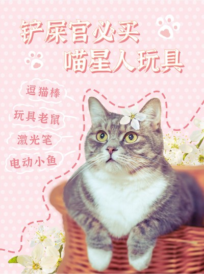 铲屎官,宠物,猫,玩具,喵星人,小红书配图
