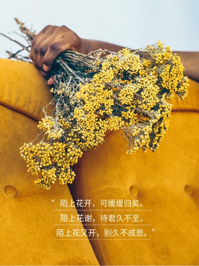 鲜花,美文,伤感,情感,小红书配图
