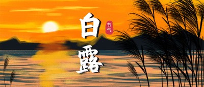 白露节气 风景 秋天 日落