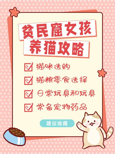 养猫,攻略,可爱,小红书配图