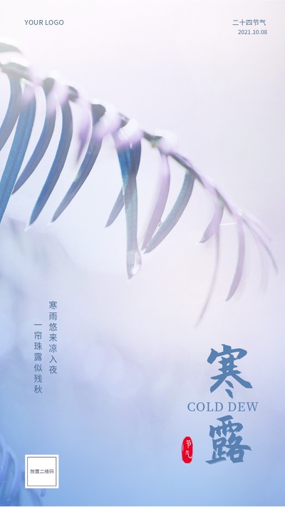 寒露,二十四节气,雾气,露珠