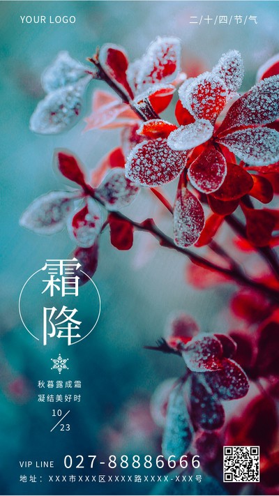 节气,霜降,手机海报