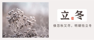 立冬,植物,公众号首图