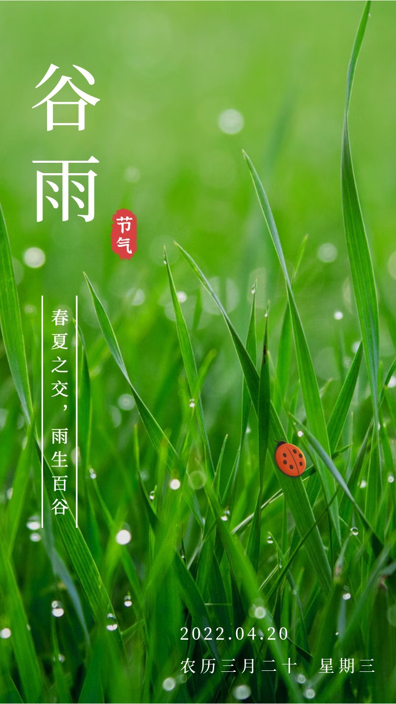 /static/assets/images/default-pic.png 谷雨,草,雨水,瓢虫,海报