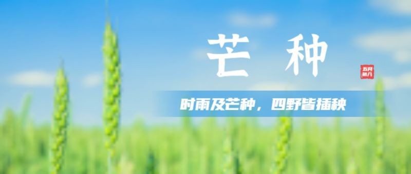 /static/assets/images/default-pic.png 二十四节气,今日芒种